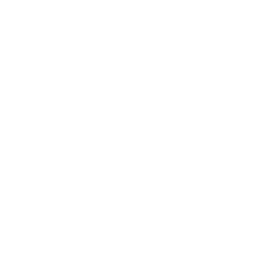 General Medicine Icon