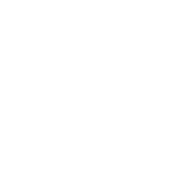 Pulmonology Icon