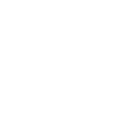 Bariatric Surgery Icon
