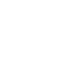 Gynaecology Icon