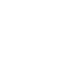 Kidney Transplant Icon