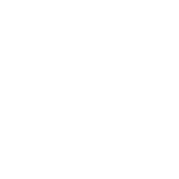 Modular CT Icon