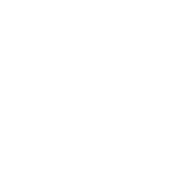 MRI Icon