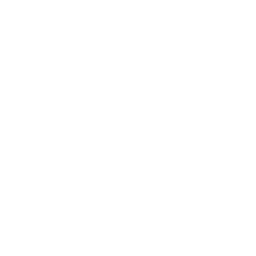 Ophthalmology Icon