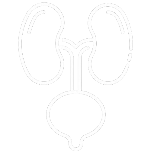 Urology Icon
